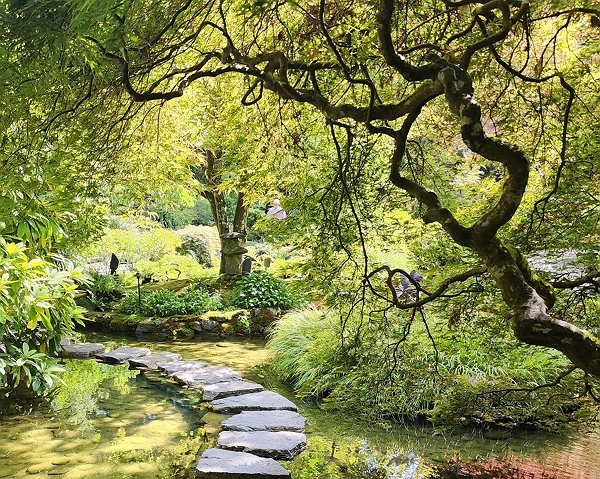 Outdoor nature trip for beginners - hiking and camping tips